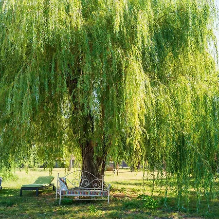 La Pausa Verda Montréal